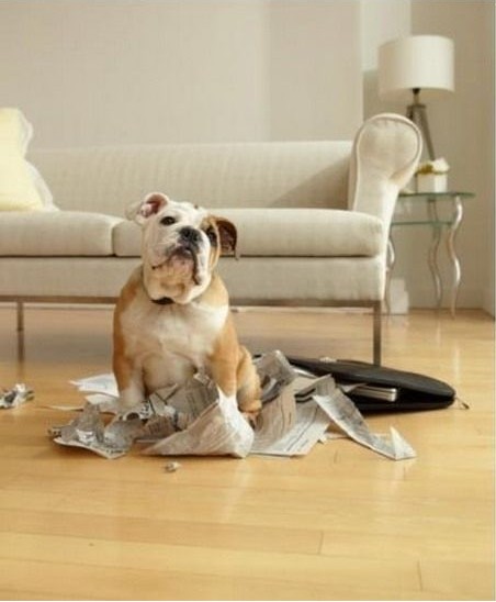 Д[O(sh)(yng)ԓMһЩFءƷ